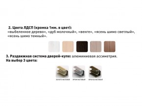 Шкаф-купе Акцент-Сим Д 1000-600 шимо тёмный в Асбесте - asbest.magazinmebel.ru | фото - изображение 3