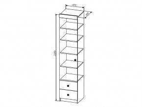 Шкаф Сканди ШД450.1 в Асбесте - asbest.magazinmebel.ru | фото - изображение 2